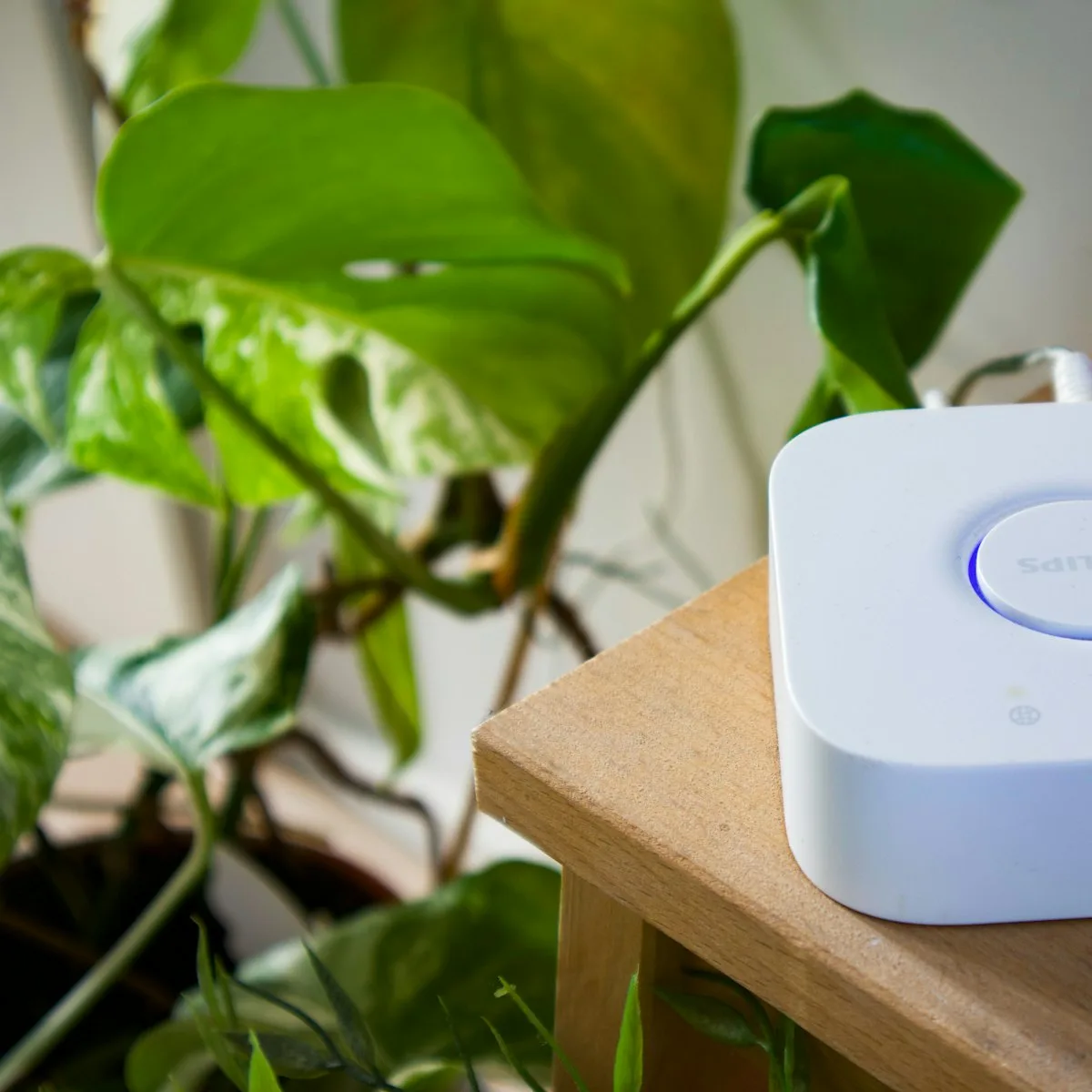 Sensors & Alarms